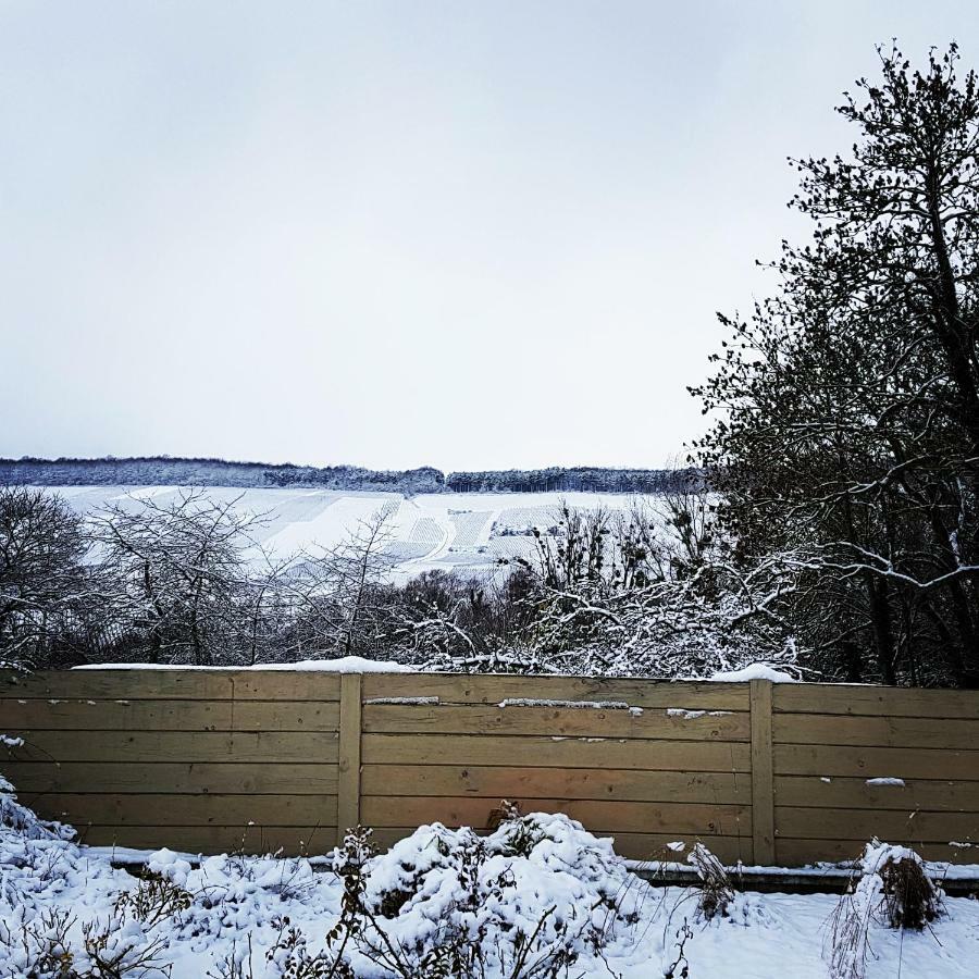 Gite Millesime Et Une Nuit Villers-sous-Chatillon ภายนอก รูปภาพ